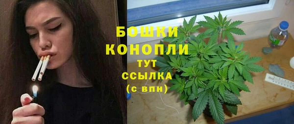 ALPHA PVP Богородицк