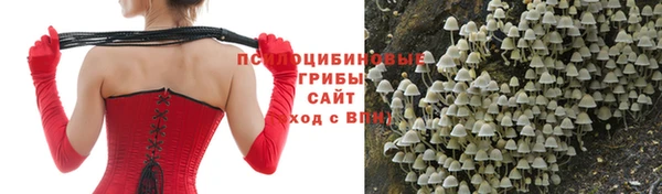 ALPHA PVP Богородицк