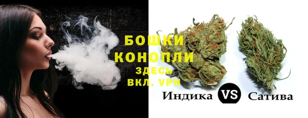 ALPHA PVP Богородицк