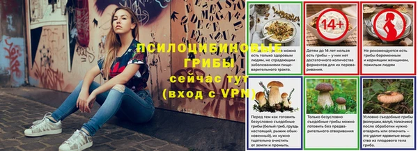PSILOCYBIN Богданович
