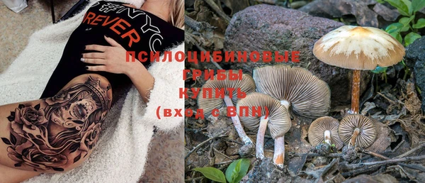 PSILOCYBIN Богданович